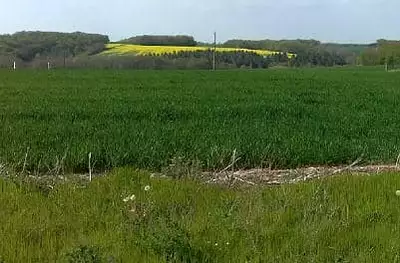 Terrain à bâtir, 561 m²