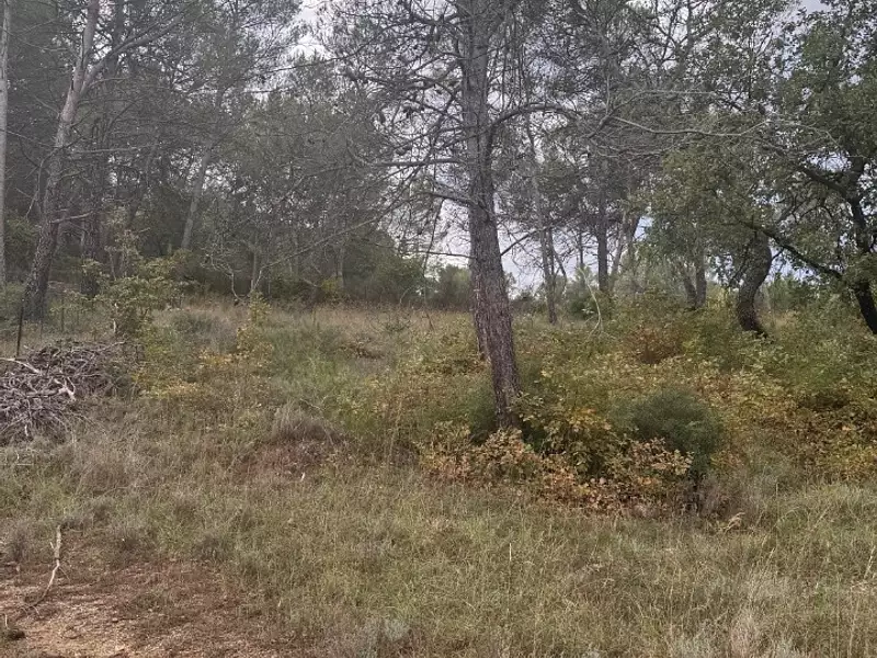 Terrain à bâtir, 352 m² - Fuveau (13710)