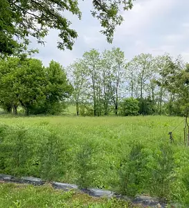 Maison neuve, 100 m²