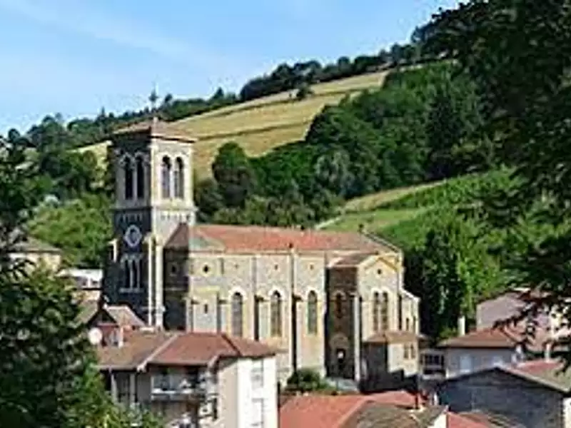 Terrain à bâtir, 960 m² - Saint-Clément-sur-Valsonne (69170)