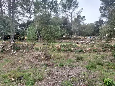 Maison neuve, 70 m²