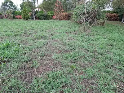 Maison neuve, 147 m²