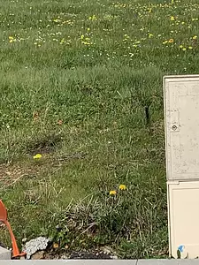 Terrain à bâtir, 471 m²