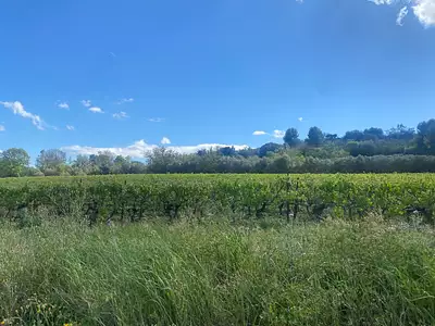 Terrain à bâtir, 460 m²