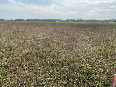 Maison neuve, 90 m²