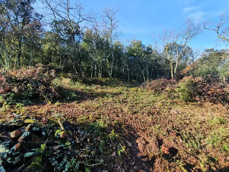 Terrain à bâtir, 1 000 m² - Labastide-de-Virac (07150)