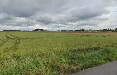 Terrain à bâtir, 559 m²