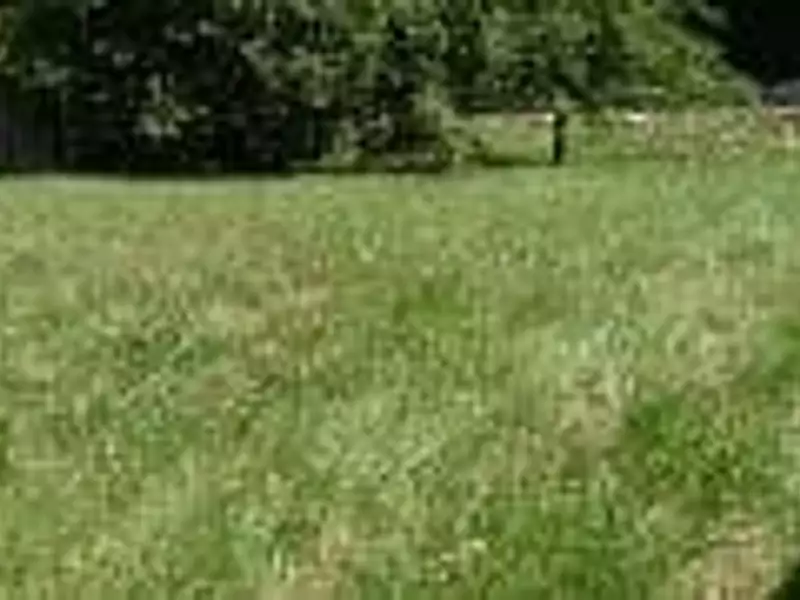 Terrain à bâtir, 763 m² - Seloncourt (25230)