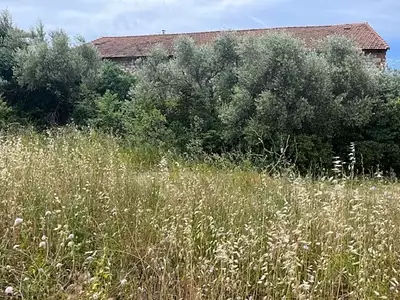 Terrain à bâtir, 485 m²