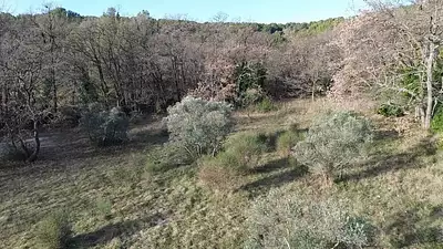 Terrain à bâtir, 1 965 m²