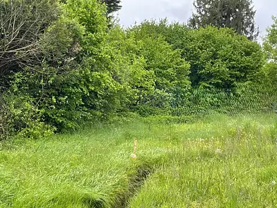Maison neuve, 100 m²
