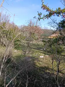 Maison neuve, 100 m²