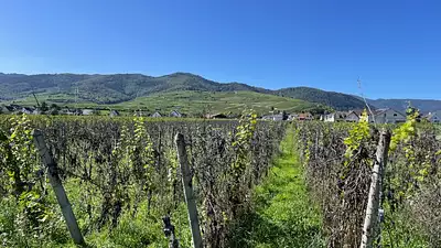 Maison neuve, 120 m²