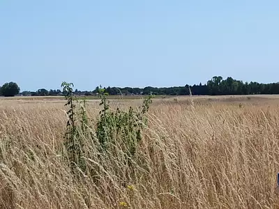 Terrain à bâtir, 1 300 m²