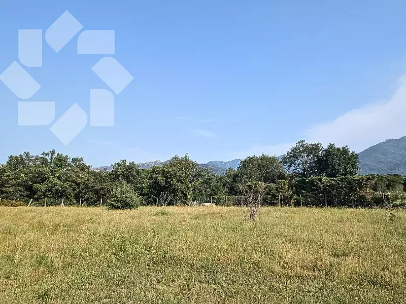 Terrain à bâtir, 3 235 m² - Laroque-des-Albères (66740)