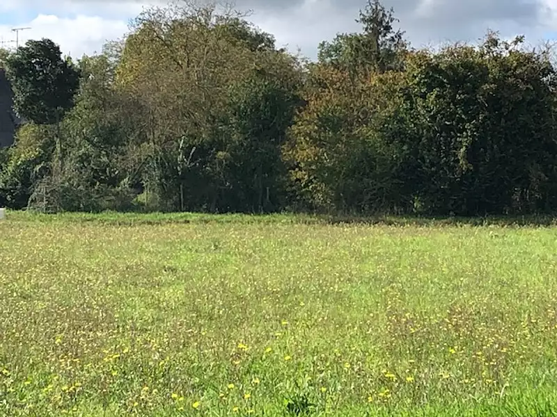 Maison neuve, 103 m² - Noyant-de-Touraine (37800)