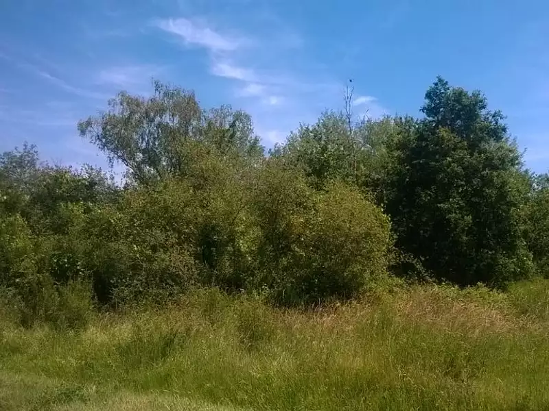 Terrain à bâtir, 1 110 m² - Dhuizon (41220)