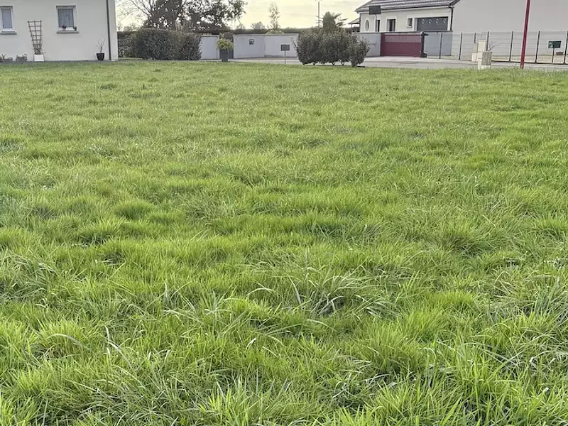 Terrain à bâtir, 754 m² - Génelard (71420)