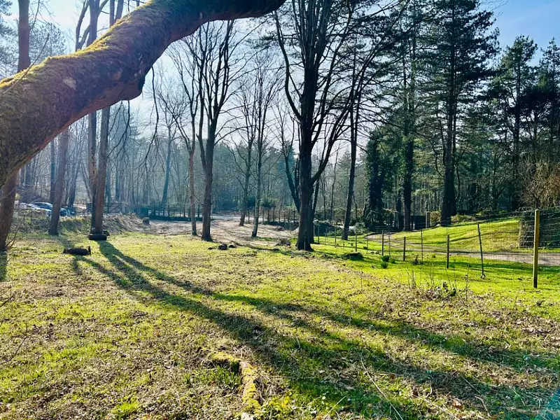 Terrain à bâtir, 1 834 m² - Neufchâtel-Hardelot (62152)