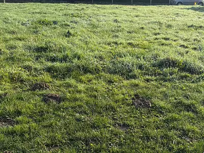 Maison neuve, 90 m²