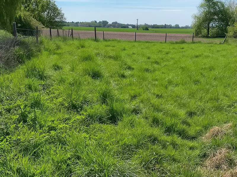 Terrain à bâtir, 778 m² - Auchy-lez-Orchies (59310)