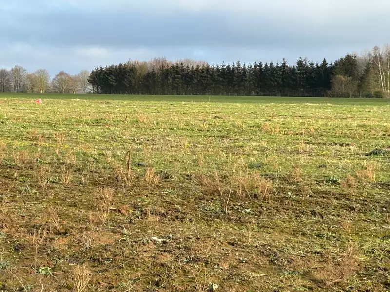 Maison neuve, 125 m² - Haillicourt (62940)