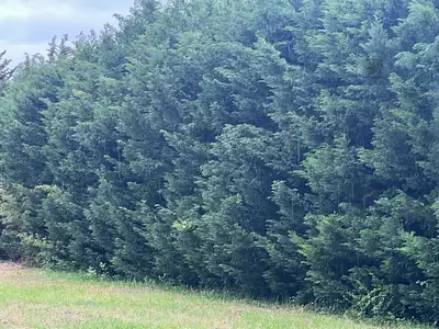 Maison neuve, 81 m²