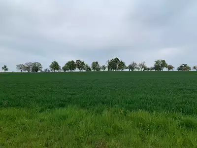 Maison neuve, 110 m²