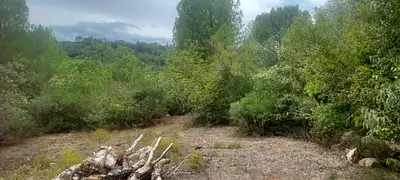 Terrain à bâtir, 1 131 m²