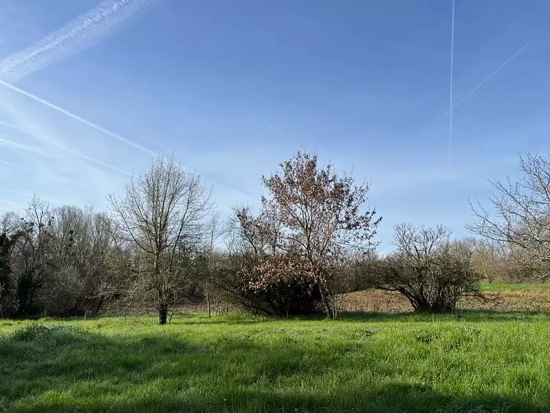 Terrain à bâtir, 1 800 m²