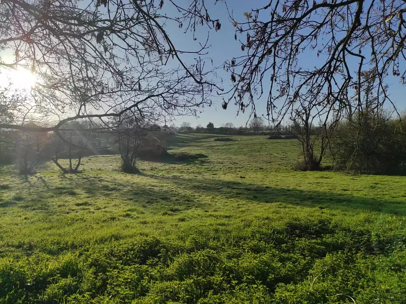 Terrain à bâtir, 450 m² - Villers-sur-Mer (14640)
