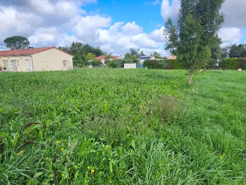 Terrain à bâtir, 706 m² - Montans (81600)