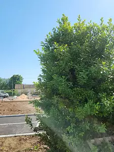 Terrain à bâtir, 300 m²