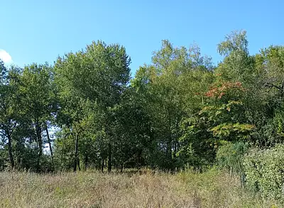 Maison neuve, 68 m²