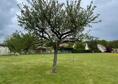 Terrain à bâtir, 310 m²