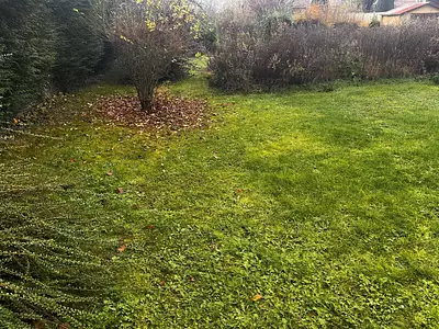 Maison neuve, 135 m²