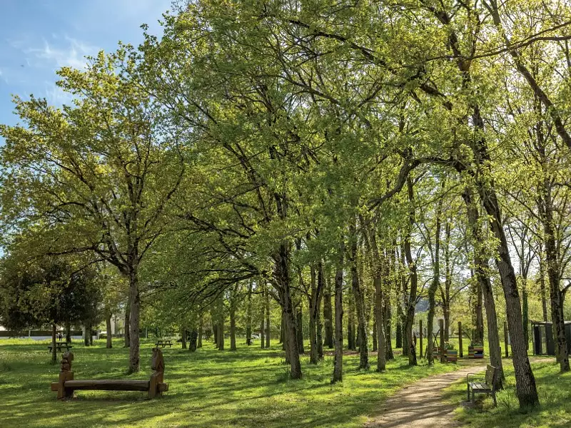 Plume - Pont-Péan (35131)