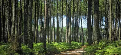 Maison neuve, 122 m²