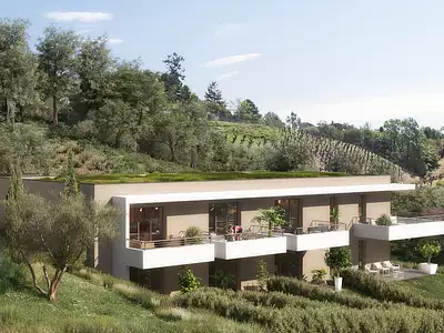 Le clos des oliviers