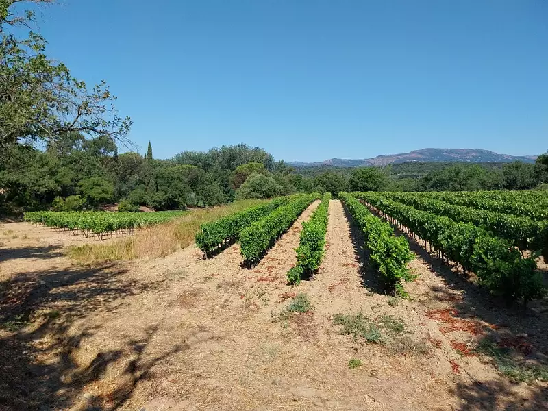 Terrain à bâtir, 540 m² - Cogolin (83310)