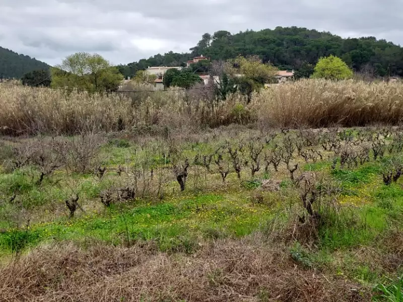 Maison neuve, 99 m² - Pierrefeu-du-Var (83390)