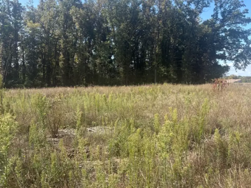 Terrain à bâtir, 1 000 m² - Galgon (33133)