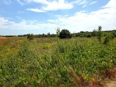 Maison neuve, 72 m²