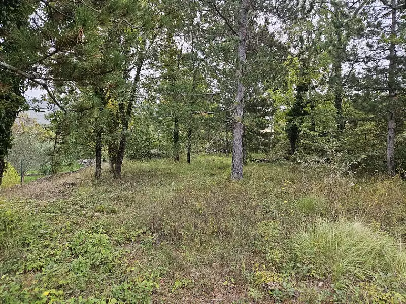 Terrain à bâtir, 972 m² - Saint-Vallier-de-Thiey (06460)