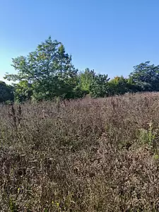 Maison neuve, 155 m²