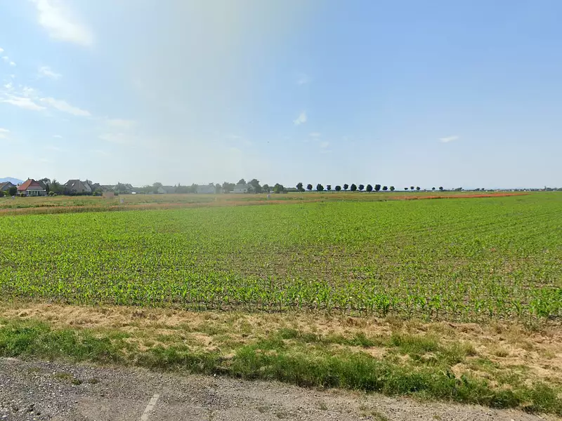 Terrain à bâtir, 601 m² - Rustenhart (68740)