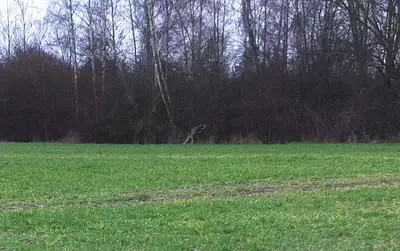 Maison neuve, 150 m²