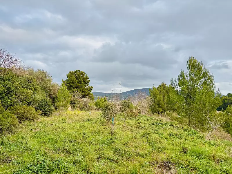 Terrain à bâtir, 895 m² - Carqueiranne (83320)