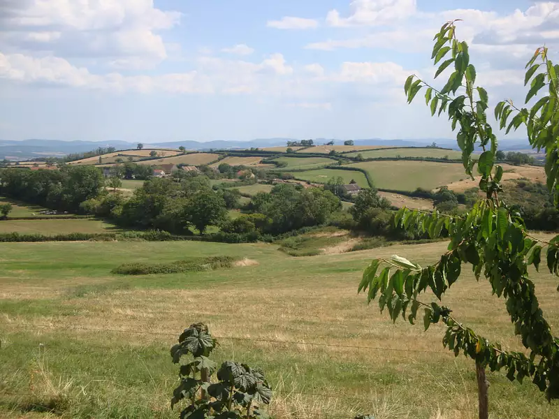 Terrain à bâtir, 950 m² - Mary (71300)