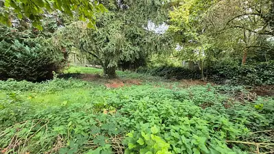 Terrain à bâtir, 503 m²